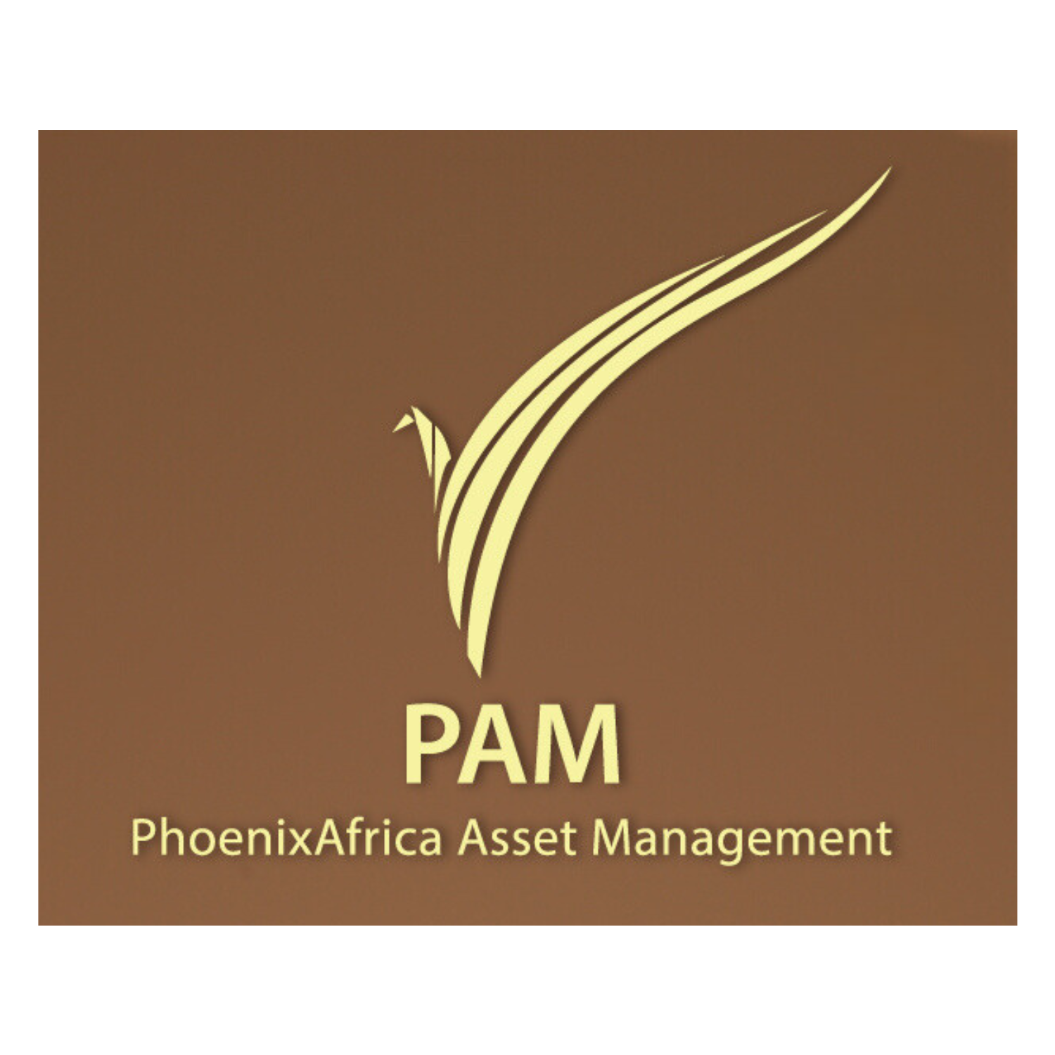 logo pam